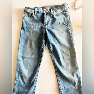 Joe's Jeans Light Blue Denim